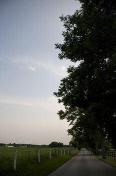 Kentucky Country Road