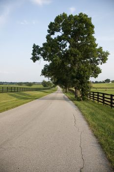 Kentucky Country Road