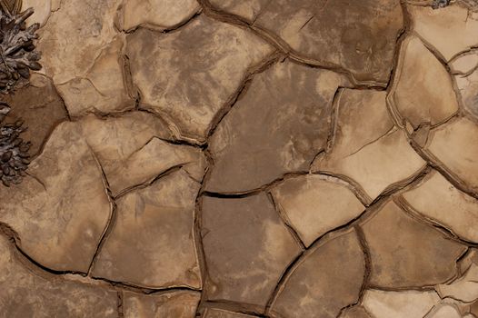 Close-up abstract of cracked mud on a tidal river shore.  A small piece of seaweed (bladderwrack) in the top Left corner. Suitable as abstract, patterned background.
