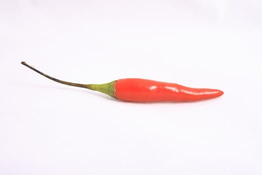 Little red peppers on a white background