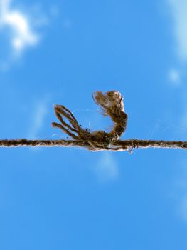 strong knot at the old rope in the sky