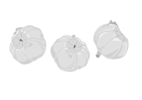 Illustration of garlic bulbs in various profiles and groupings.