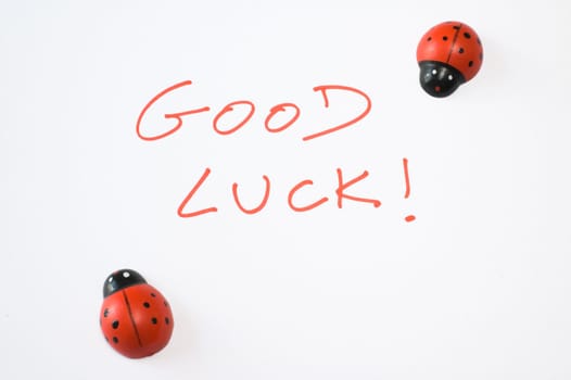 Good luck with two ladybugs written on white background