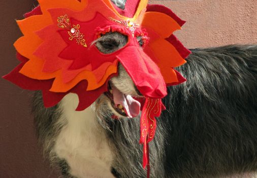 An Irish Wolf Hound wearing an orange and red mask during a local Irish festival.