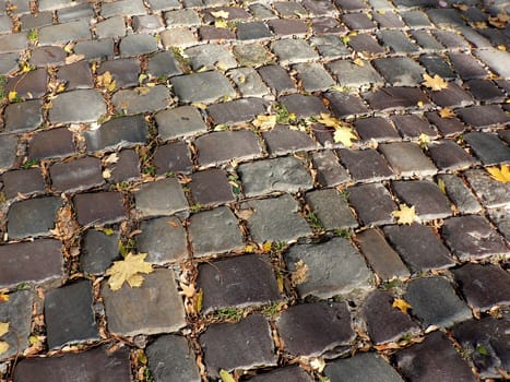 Autumn leaves on the cobblestone
