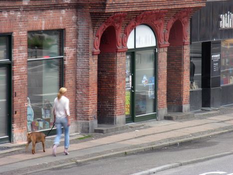 Blurred Picture Girl walking with her Dog in Copenhagen, Denmark