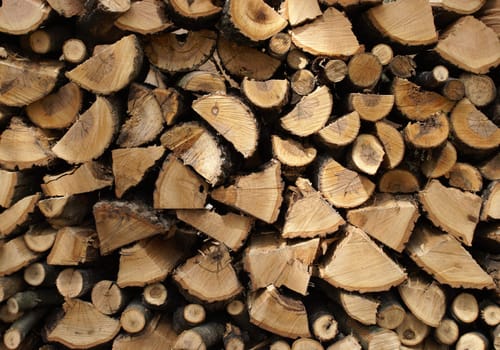 A macro shot of a wood pile.