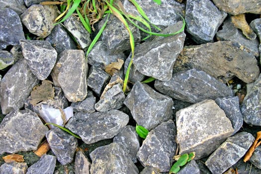 Stones with Grass