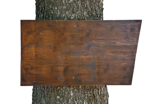 Empty wooden plank nailed to tree trunk on white background
