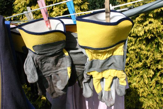 Work Gloves on Rotary Washing Line