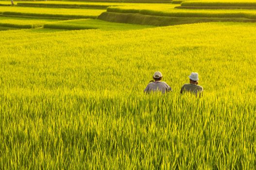 Two farmers resting between terrace rice fields in evening sunset, Bali, Indonesia.