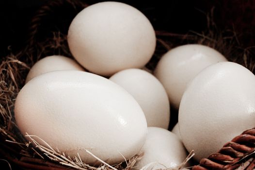 Some big ostrich eggs in basket