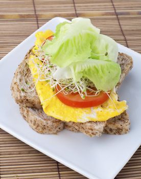 Organic healthy egg sandwich on plate.