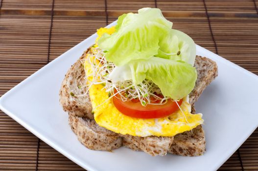Organic healthy egg sandwich on plate.
