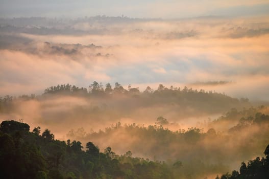 Morning Mist at Tropical Mountain Range, Malaysia
