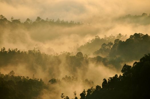 Morning Mist at Tropical Mountain Range, Malaysia 