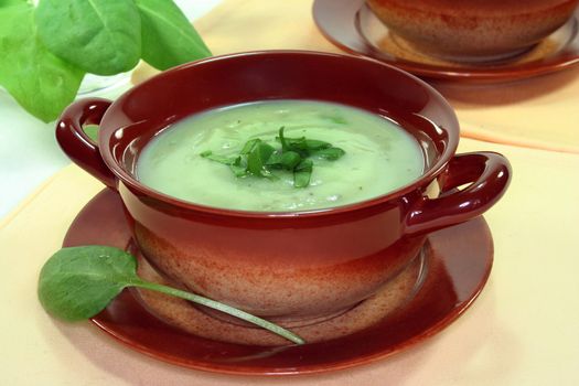 Herb soup garnished with fresh sorrel