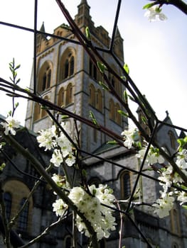 White Flowers at Buckfast Abbey in Devon