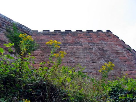 Historic Roman Walls in Chester