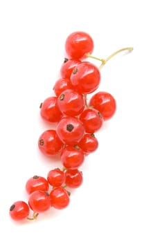 ripe fresh redcurrant isolated on white background