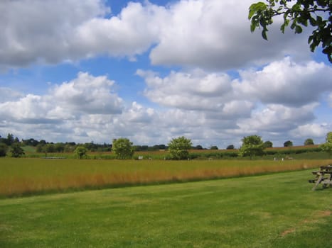 English Meadow in Autumn