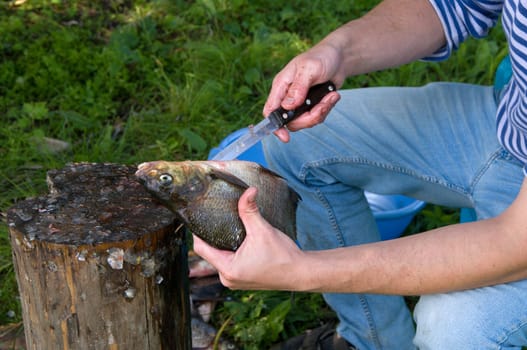 Outdoor shot of man prepares fresh river fish.