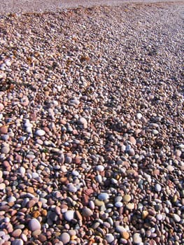 South Devon Beach