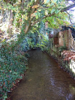 Small River in Otterton Devon