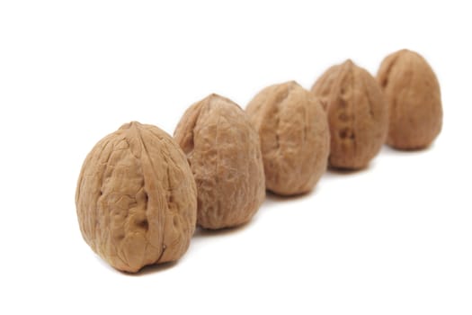 Walnuts on white background. Close up image