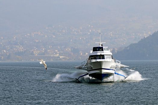 hydrofoil