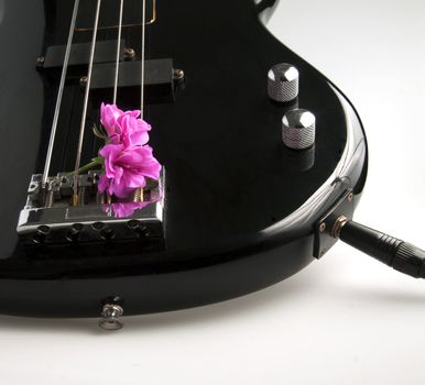 Closeup of a part of a bass guitar with a flower in between the strings