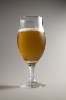 Close up of a glass of lager beer