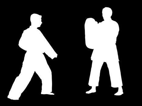 Silhouettes of two karate fighters training