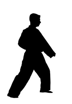 Silhouette of a karate fighter on white background