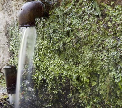 Old brown fountain coming out from a grassy wall