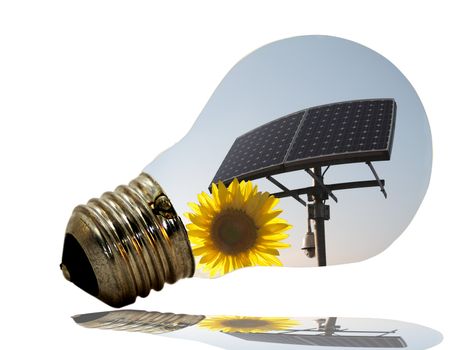 Bulb with reflection of sunflower and solar panel, white background
