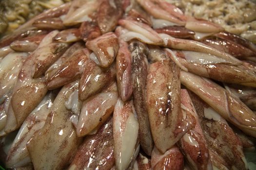 Fresh uncooked squids on the market.