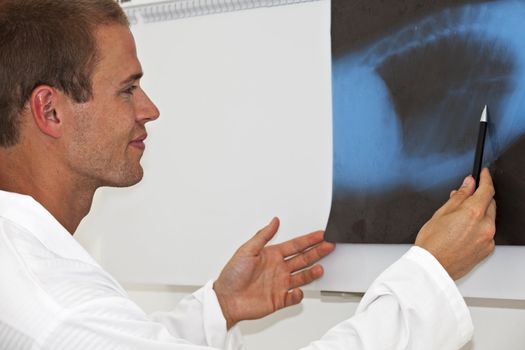 young male doctor reading a x-ray