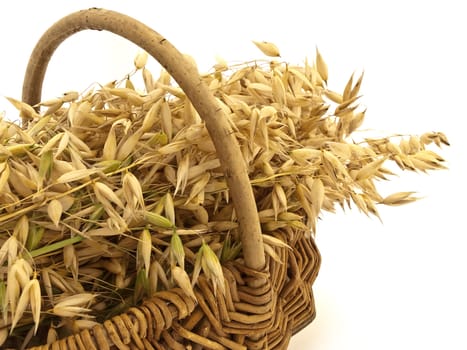 A lot of oats in wicker basket on a white background  