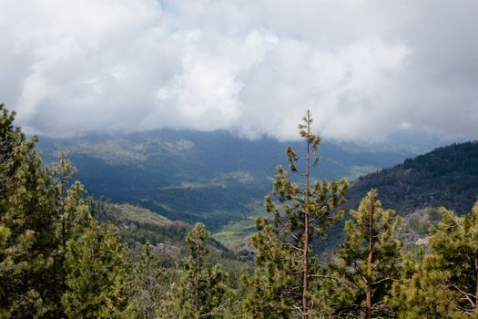 Giant Sequoia National Monument is located in the southern Sierra Nevada in eastern central California.