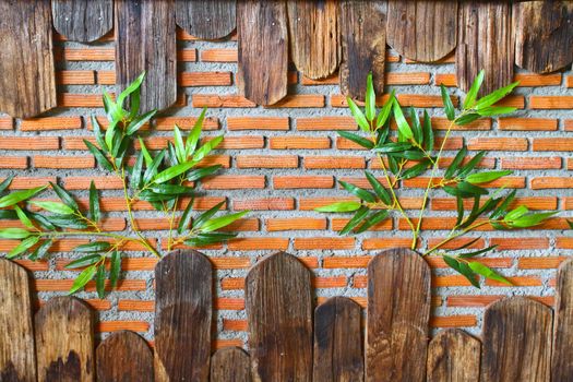 Brick wall with wooden frame and green plant