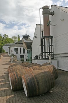 Whisky Barrels in Scotland