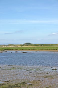 Scottish Wetlands and Modern Building