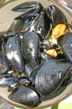 Pot of French Mussels