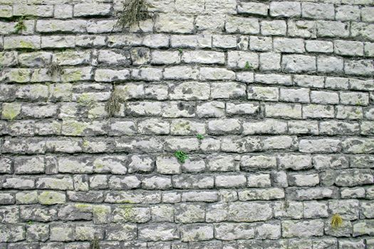 Caernarfon Castle Wall in North Wales UK