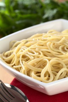 Cooked spaghetti with basil in the back (Selective Focus, Focus one third into the bowl)