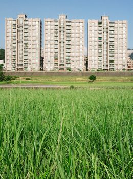 It is beautiful cityscape of apartments with grassland.
