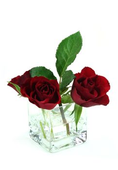 Roses in a small glass vase