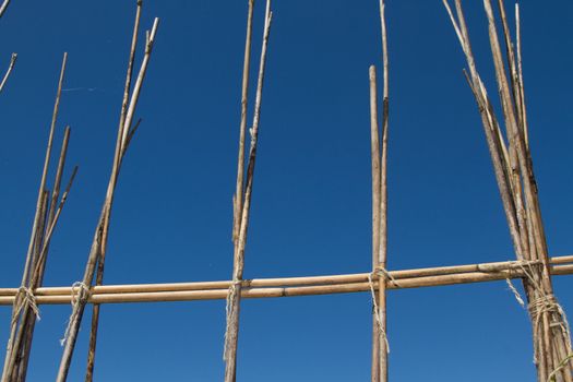 A structure made from bamboo canes tied with string for supporting bean plants against a blue sky.