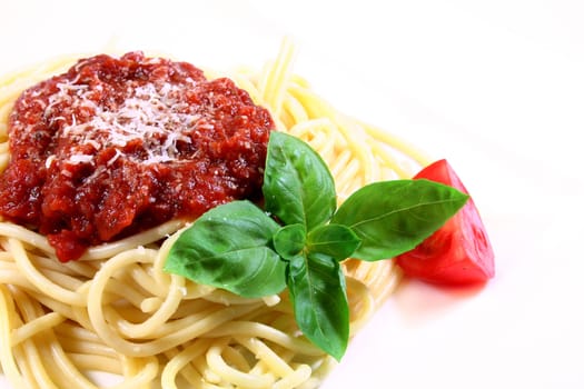 Spaghetti with tomato sauce, Parmesan and basil